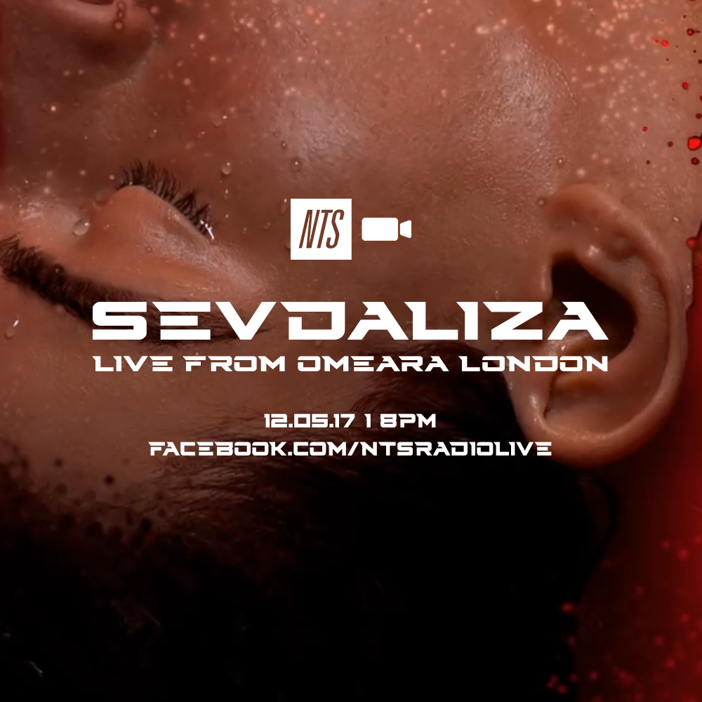sevdaliza-still.png