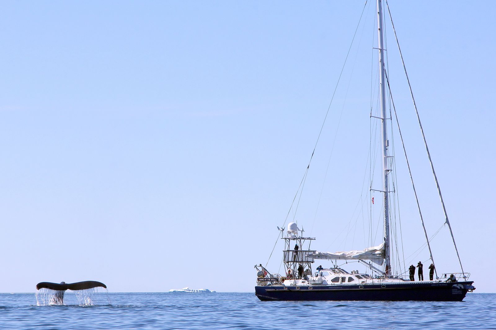 Song of the Whale research vessel.JPG