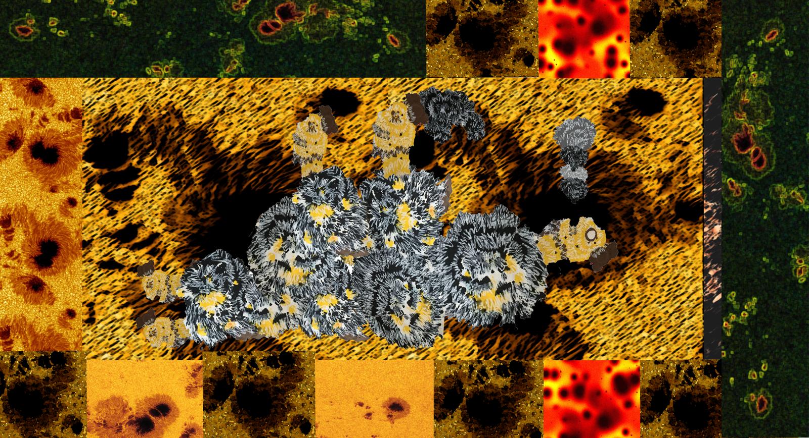 João Donato | Discover music on NTS