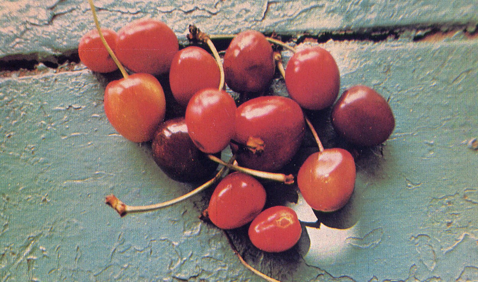 Forager Records 18th August 2022 Listen on NTS