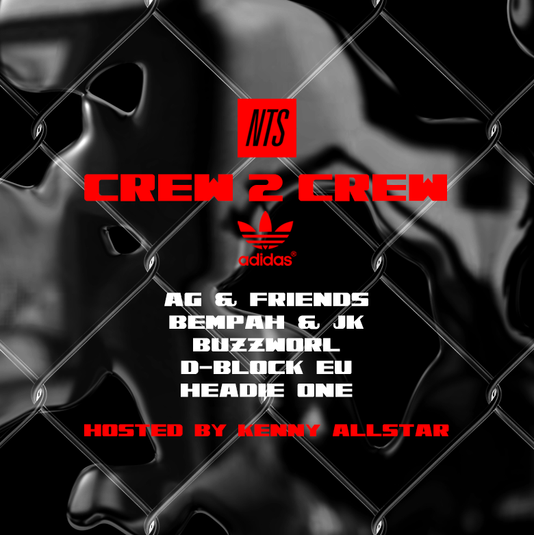 Crew 2 Crew 10 Jan 2019 Incoming