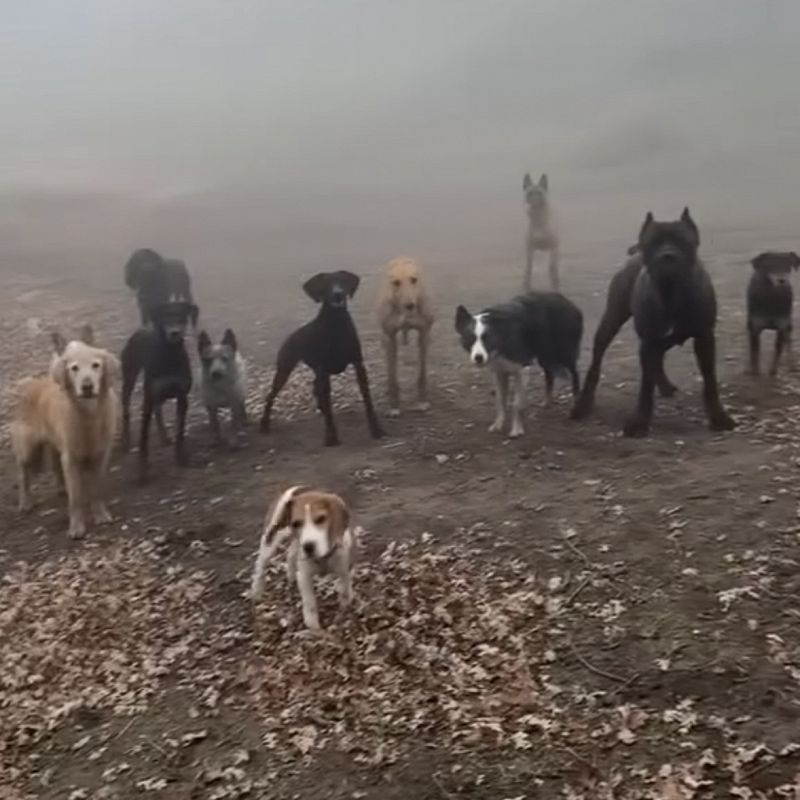 BLOOMING IN FILTH W/ USER2222