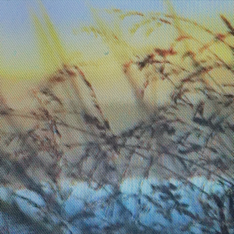 Pender Street Steppers w/  Airbear