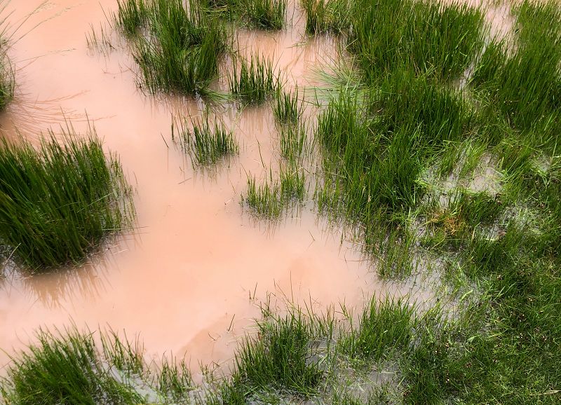 Pacing The Platform w/ upsammy