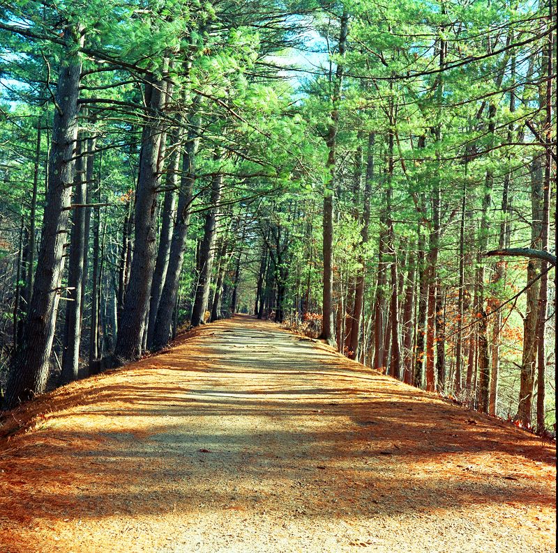 Back Roads All The Way Home w/ Imogen Bergin
