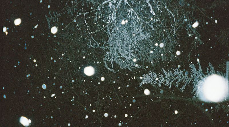 outside & peaceful w/ marius