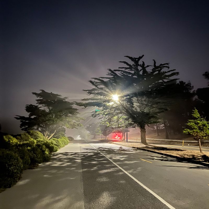 A Month of Sundays w/ Loveshadow