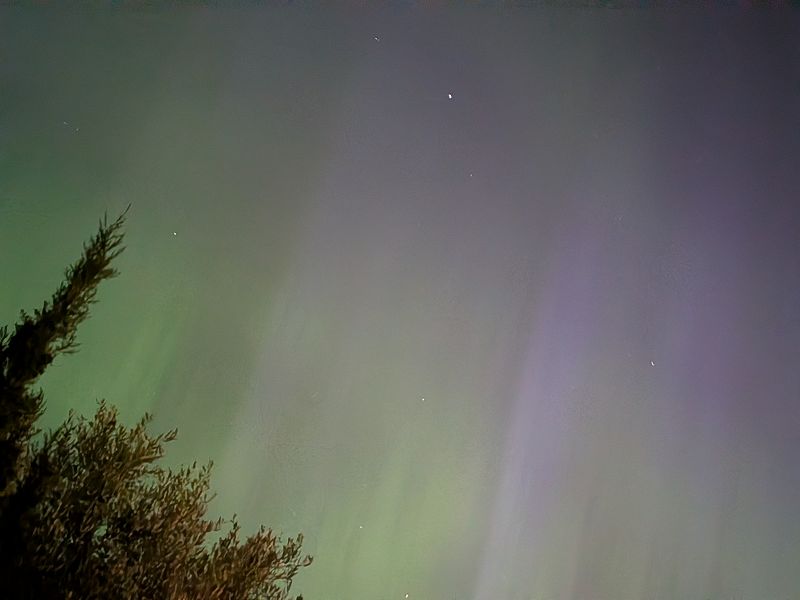 The Early Bird Show w/ TROTH