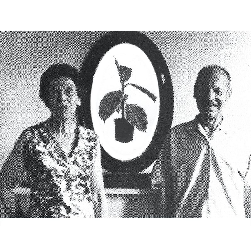 Peking Spring presents: Danny Bushes 'Implicated' Mixtape