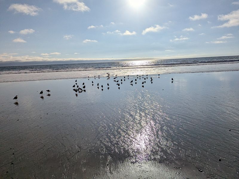 THE MIND MATTERS W/ DJ Ldot Adot