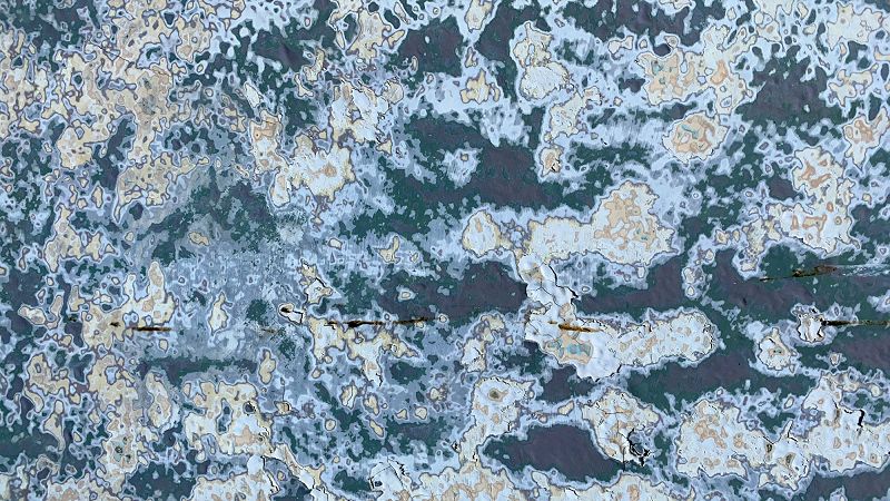 ECLAIR FIFI W/ ORION AGASSI