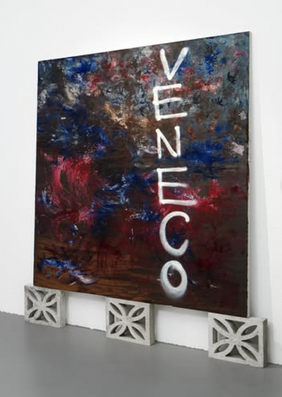 Rachel Grace Almeida: Venezuela Libre