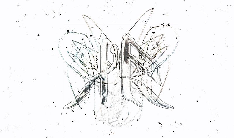 Sendspaace w/ team rockit 