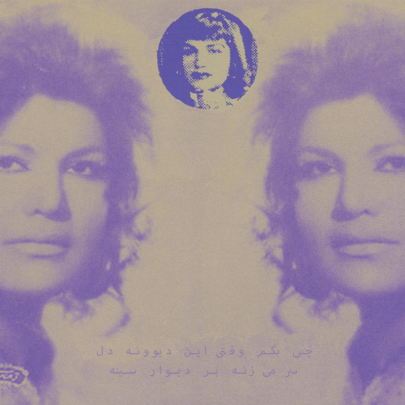 Mississippi Records: چی بگم وقتی این دیوونه دل سر می‌زنه بر دیوار سینه (What should I say when this insane heart bangs against the walls of my chest?)