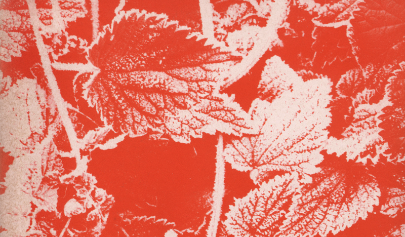 Guitar World: UK Indie Singles 1990-1998