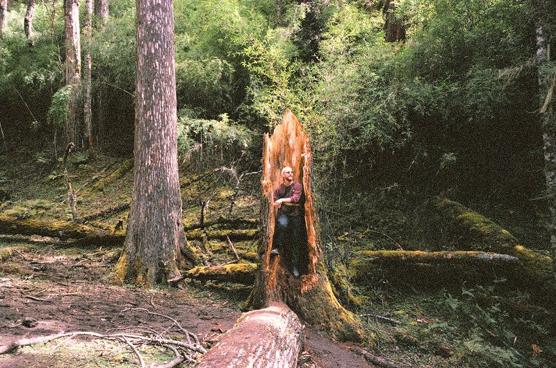 Live From Shanghai - China Social Club