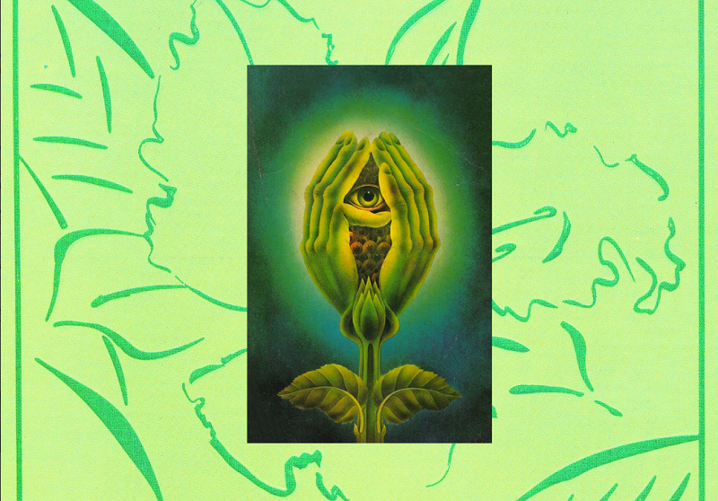 Sacred Life of Plants w/ Naima Karlsson