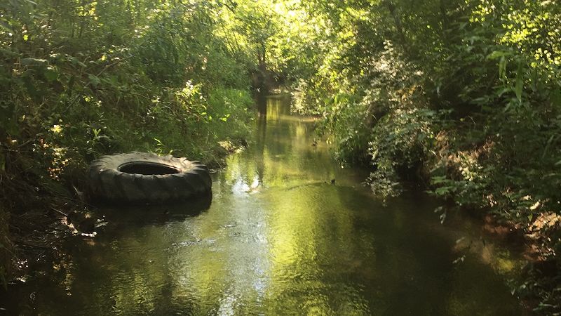 un sueño verde w/ mango mamiii