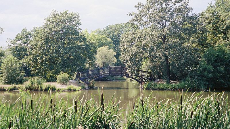 REST YOUR WINGS W/ GUULEED