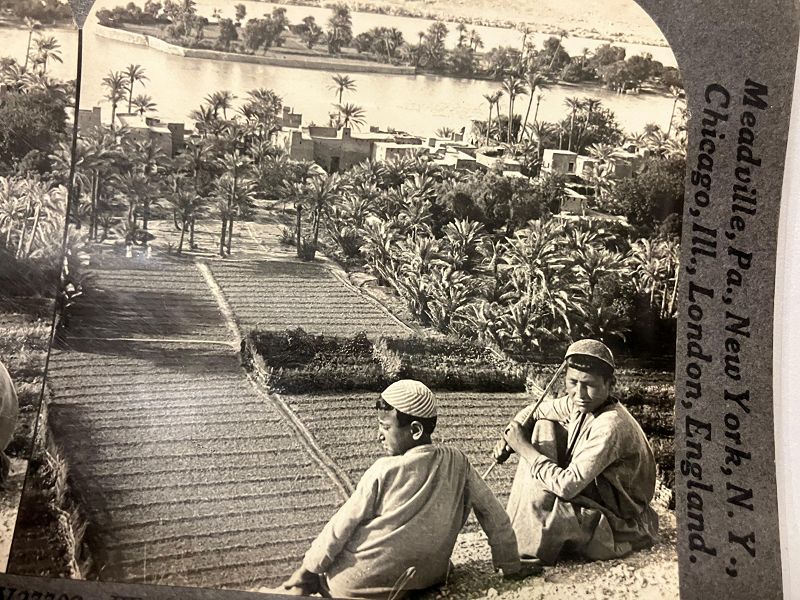 One step at a time w/ Leo