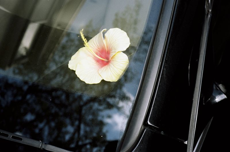 A Colourful Storm - The Devil Laughs