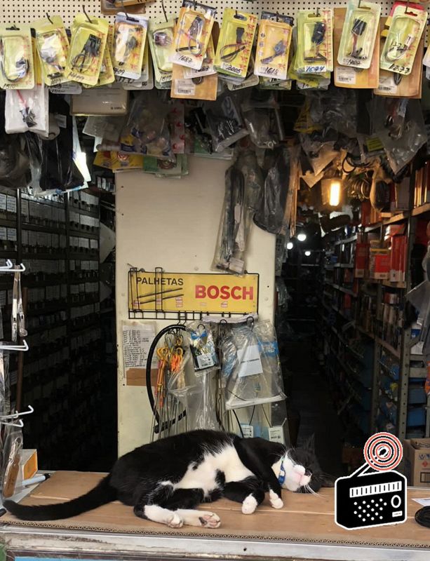 Club Coco w/ Coco María