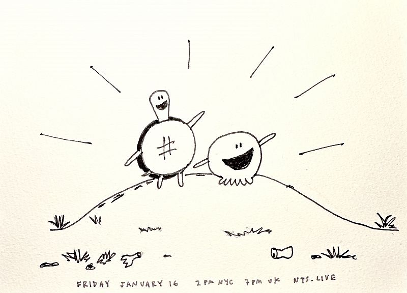 James McNew (YO LA TENGO)