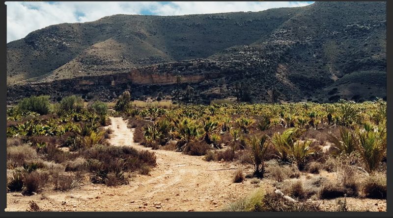 As I Was Moving Ahead / The Seed