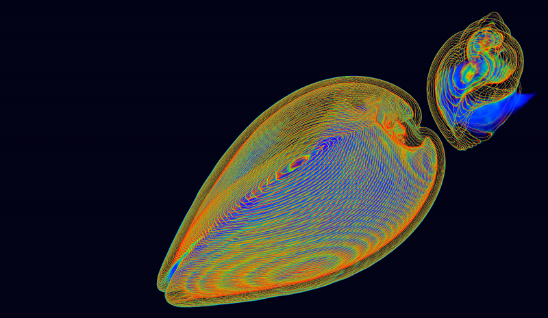 Circle Packing w/ Occo