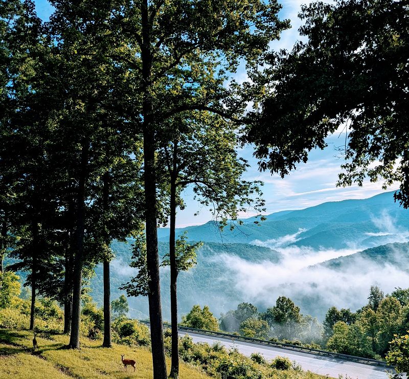 From Hill and Holler W/ Ben Adams