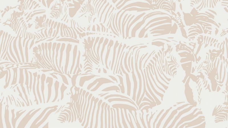 In Focus: Beach House