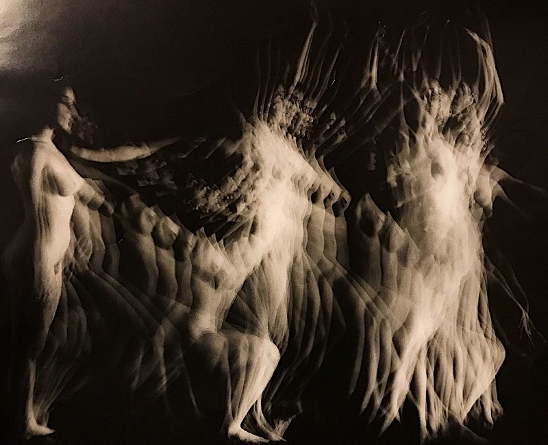 Shells w/ Sonic Juju