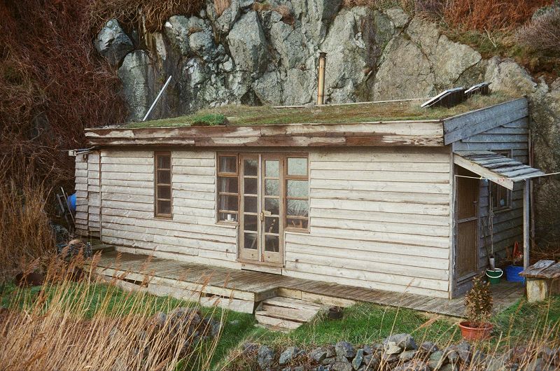 Ono w/ JC Leisure Group - Low Tide, Hi Grypus!