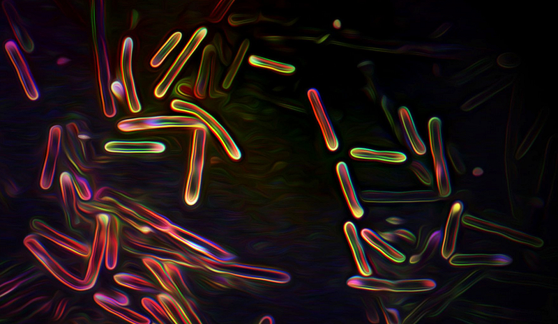 Circle Packing w/ Occo