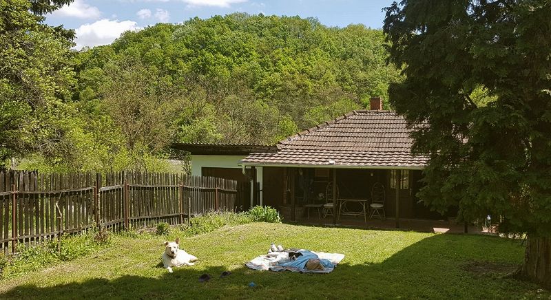 THE AESTHETICS OF EASE W/ PLUMDOSE