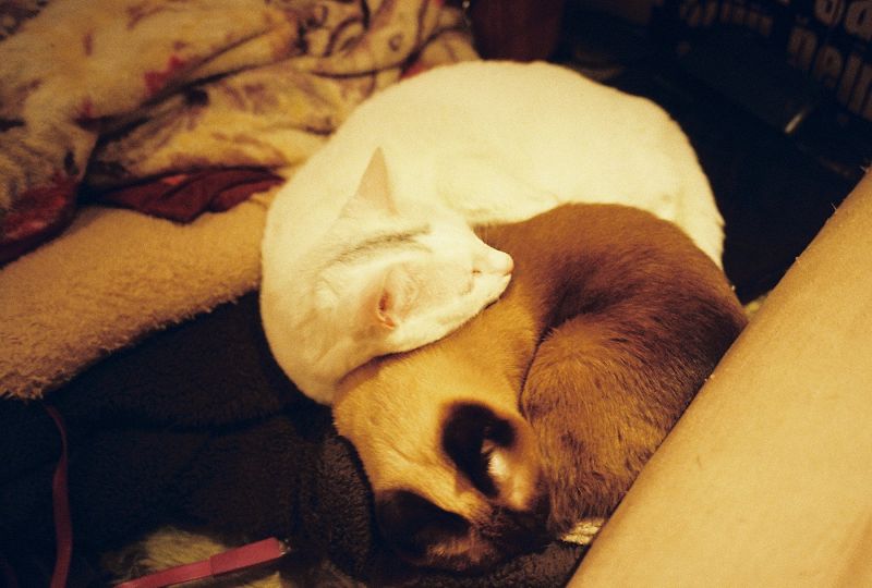 A Colourful Storm - Archive of Longings