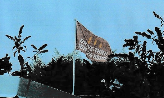 Blooming in Filth w/ Pleasure Systems