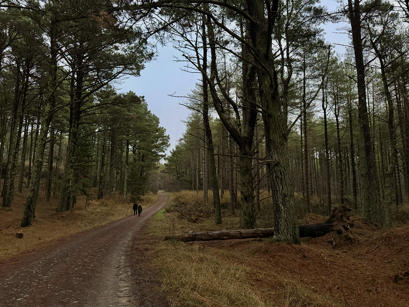 Farm to Forest w/ Louise Taylor