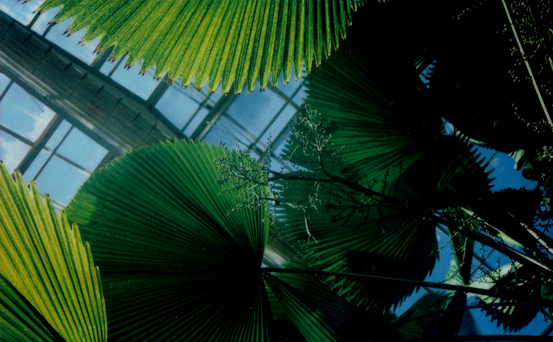 A Month of Sundays w/ Bill Spencer