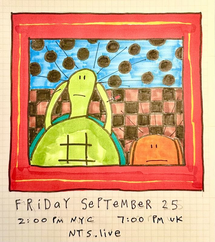 James McNew (YO LA TENGO)