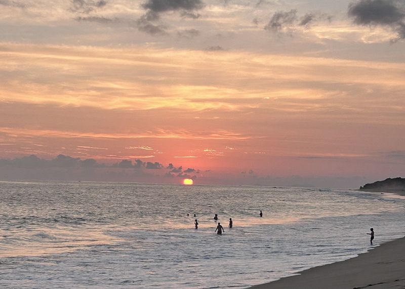 Chocolate Ice Cream w/ Trini.D
