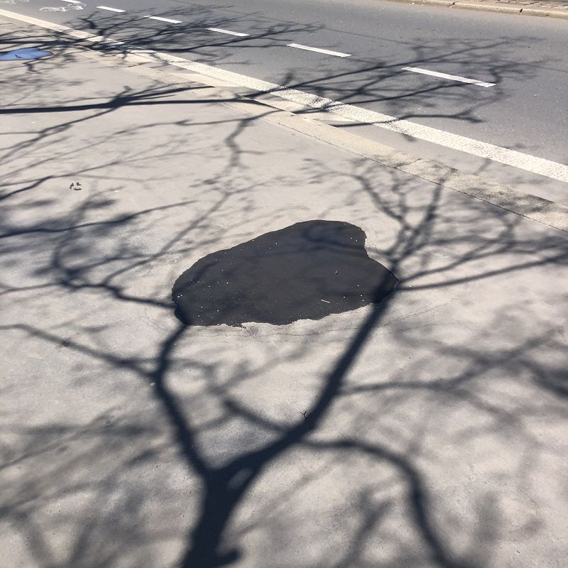 Pacing The Platform w/ upsammy