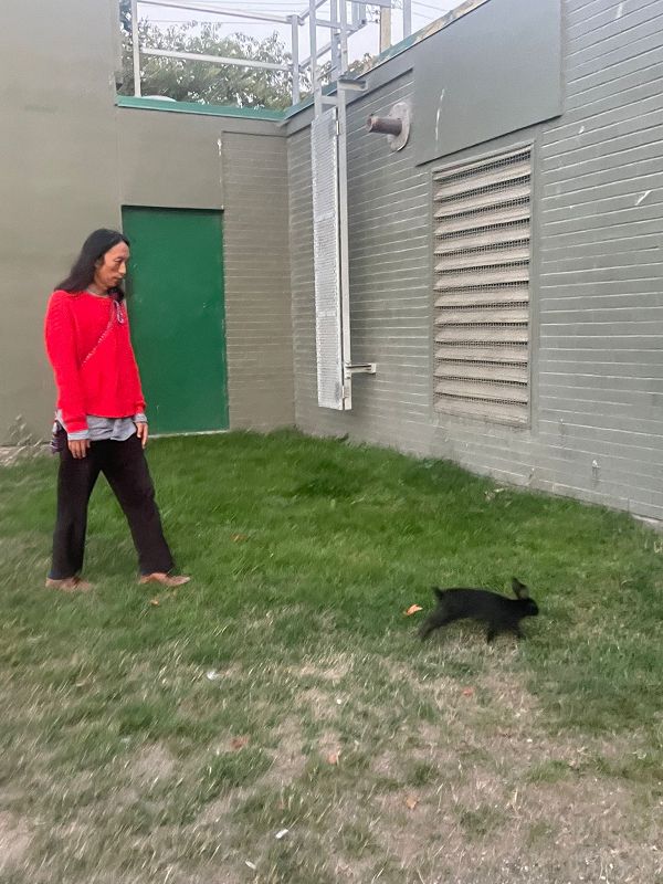 Tim Koh: Kokonut Trip