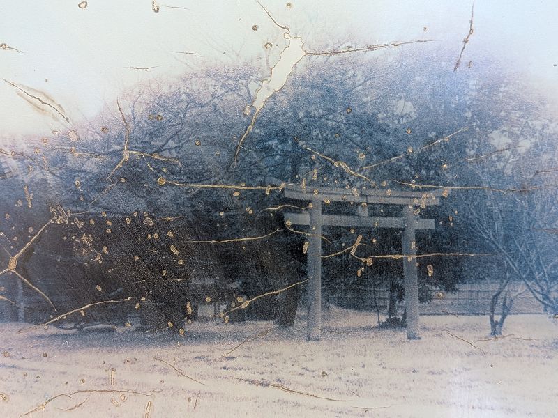 Troth: A Japan Tour Diary