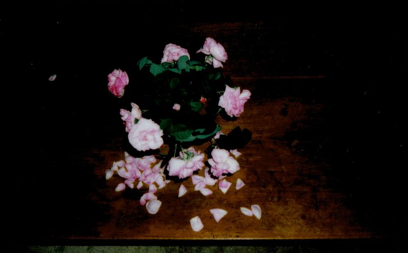 A Month of Sundays w/ Bill Spencer