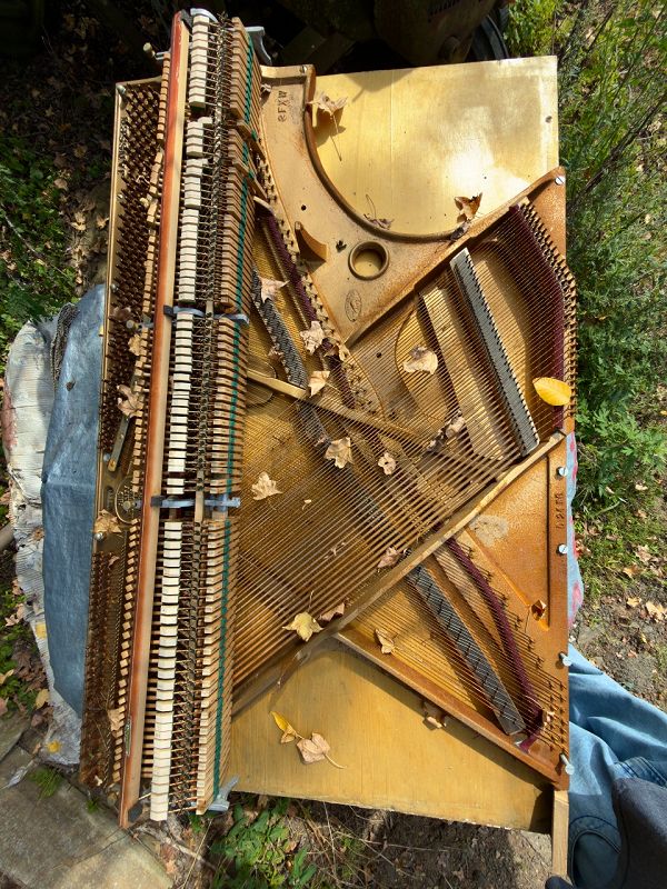 3XL w/ Special Guest DJ