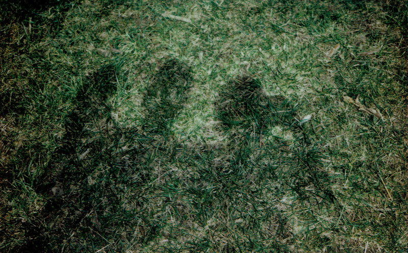 A Month of Sundays w/ Bill Spencer