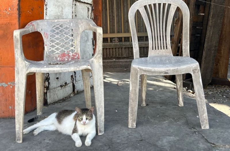 Club Coco w/ Coco María