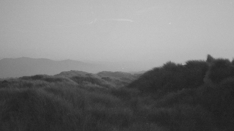 BITS & PEACES W/ 858FANTASY