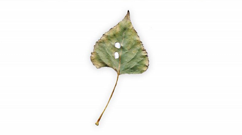 Sendspaace w/ Nozomu Matsumoto